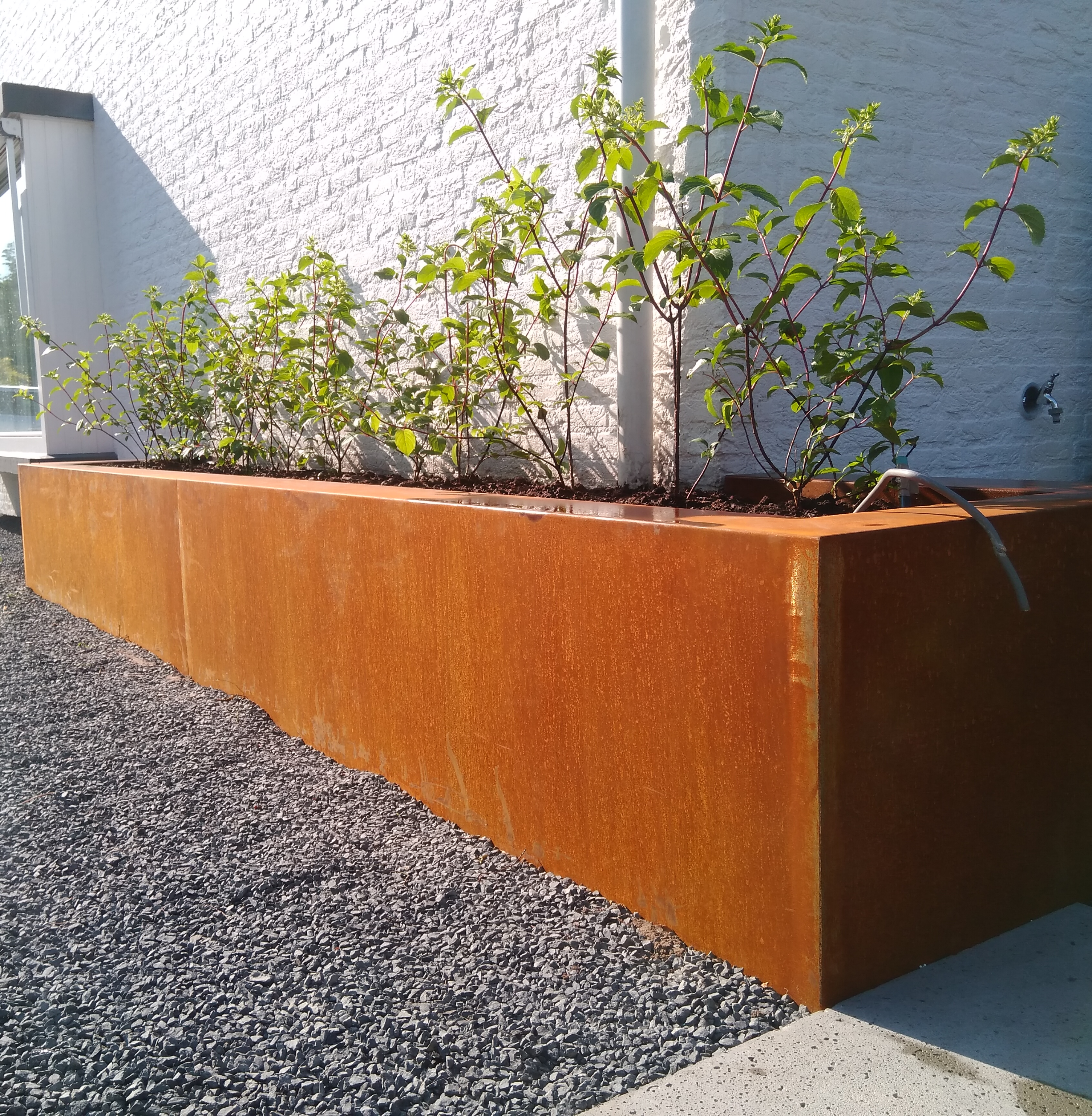 Plantenbak langs muur