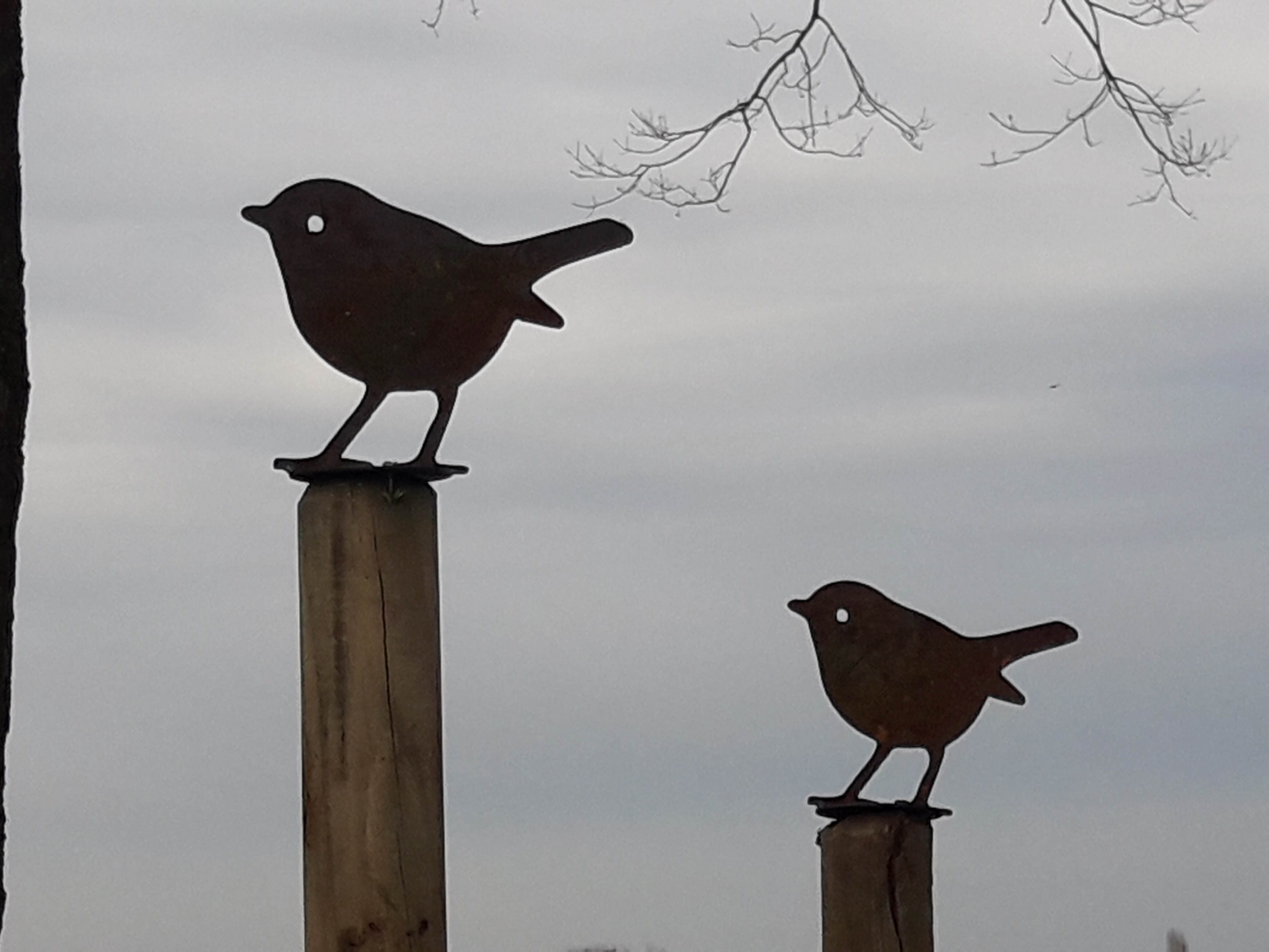 Décoration de jardin Robin en acier Corten