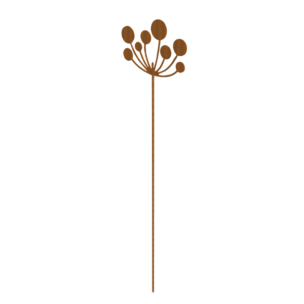 Tuindecoratie Allium cortenstaal