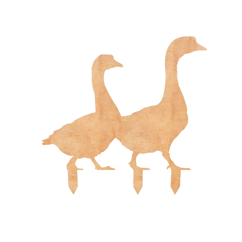 couple d'oies